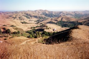 San Luis Obispo County | Fujifilm disposable camera, July 2016 by Tim Worden